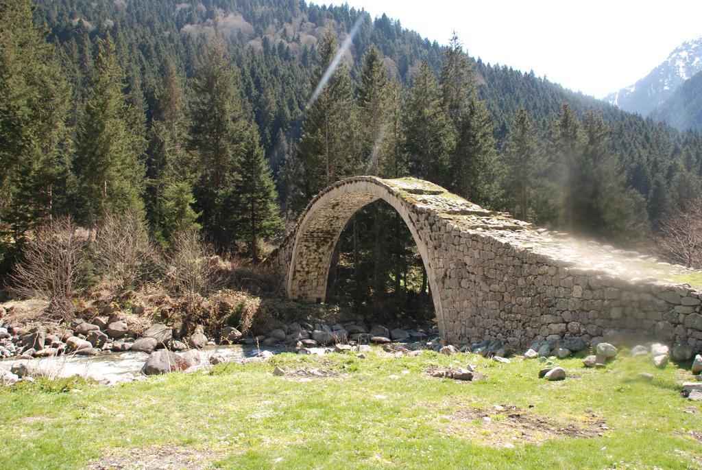 Ayder Umit Hotel Esterno foto